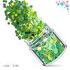 Kit de Unhas Verdes Transfronteiriço 12 Cores Misturadas Lantejoulas para Nail Art Laser Pó Escarlate Joias para Nail Art Broca Adesivo para Unha