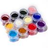 Arte de Uñas Transfronterizo 10G Polvo de Terciopelo Embotellado Accesorios para Arte de Uñas Polvo Esponjoso de Terciopelo Lentejuelas con Brillo para Arte de Uñas 12 Colores