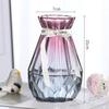 Plantas Hidropônicas Europeias Atacado Jiboia Vaso Seco Vaso de Vidro Decoração de Sala de Estar Arranjo de Flores Enfeites