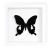 Marco de Fotos con Foto de Espécimen de Mariposa Real Pintura Decorativa de Madera DIY Marco de Fotos Vintage Decoración de Mueble de Mesa Regalo de Cumpleaños Maestro
