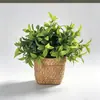 Planta Artificial de Aloe Vera e Planta Verde em Vaso de Cimento para Decoração de Mesa de Centro de Sala de Estar Interna de Casa, Folha Verde para Varanda