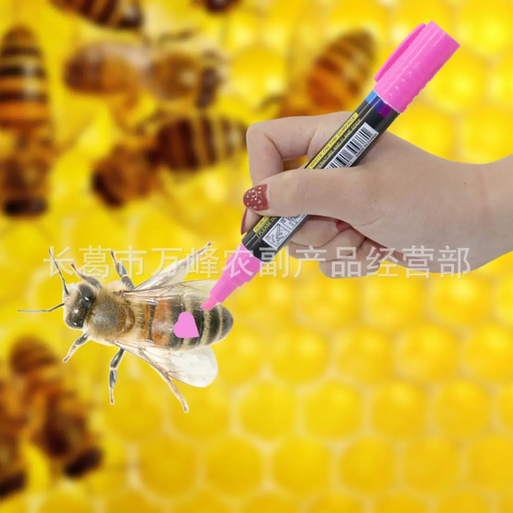 HTB1XC9tkxHI8KJjy1zbq6yxdpXa7.