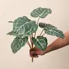 Hojas de Begonia artificiales, Hojas de Monstera, Filodendro colgante, plantas verdes decorativas para paisajismo, escenografía para sala de transmisión en vivo, hojas verdes de bonsái, decoración del hogar