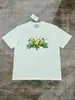 Camiseta de Algodão Puro 230g com Estampa Digital Casa Levemente Luxuosa, Pesada e Amiga da Pele para Vendas Transfronteiriças de E-commerce Independente, Manga Curta