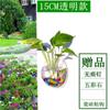 Maceta Acrílica de Pared Hidropónica para Pothos, Botella, Colgante de Pared, Pecera, Decoración de Pared, Restaurante, Sala de Estar, Pared de Fondo, Maceta
