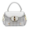Bolso Cuadrado Pequeño para Mujer 2025 Nuevo Modelo Bolso de Hombro de Moda de Gama Alta Bolso de Mano de Diseño de Nicho Bolso Cruzado de Moda