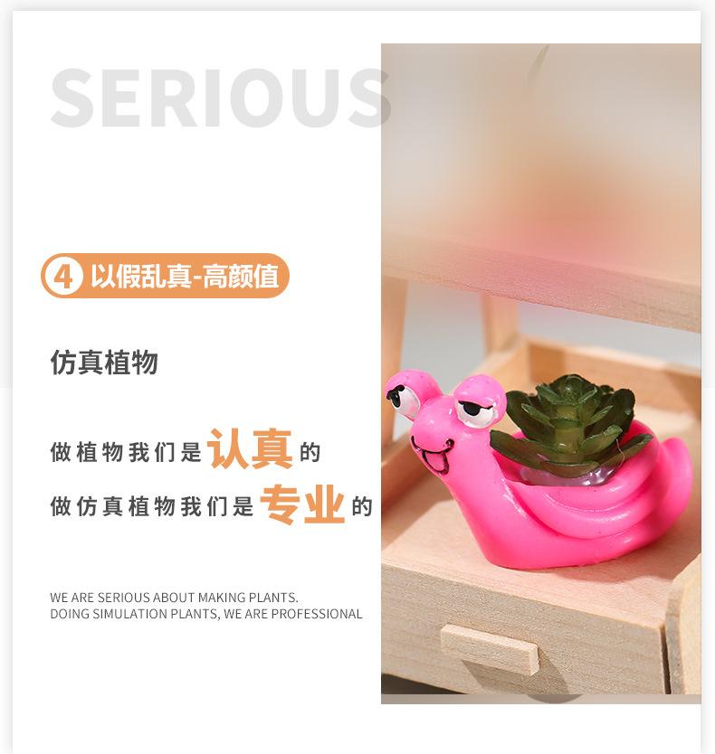 六色突眼蜗牛_14