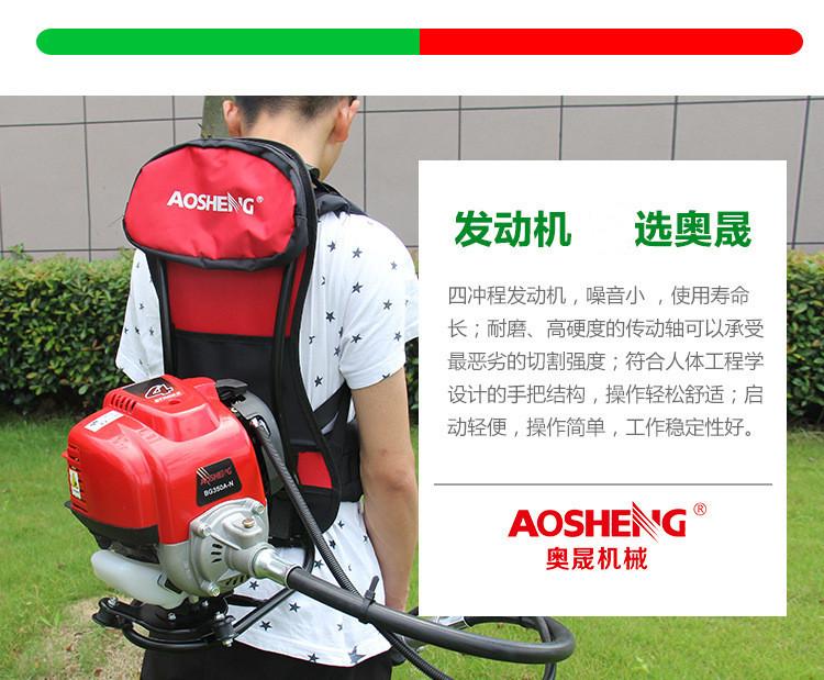 4319961921_1288177271