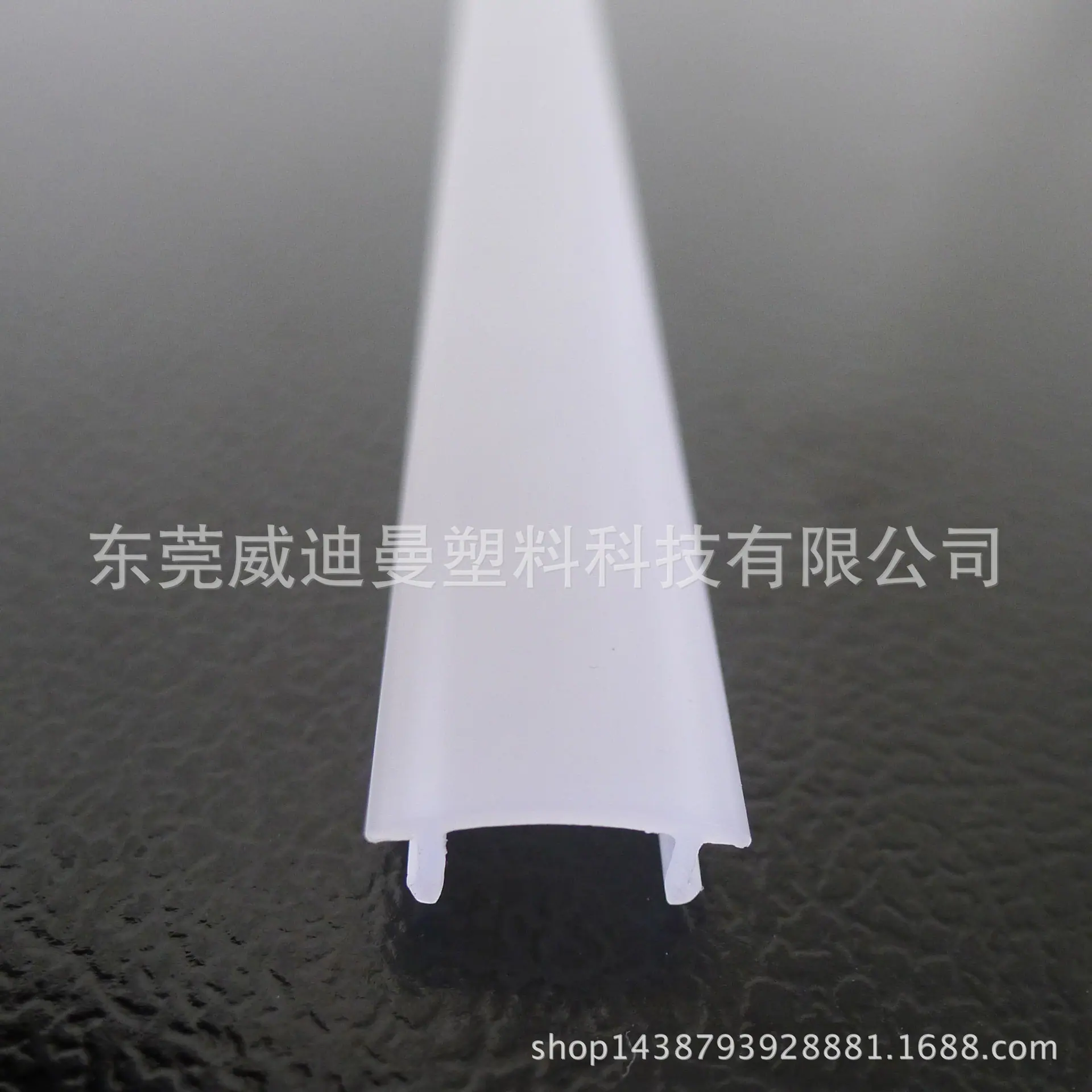 P1060563