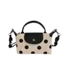 Bolsa Transversal de Bolinhas Estilo Coreano para Mulheres, Bolsa Versátil e Fashion para o Dia a Dia, Bolsa de Mão Feminina de Alta Qualidade, Novo Modelo 2026