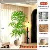 2026 Planta Verde Artificial Nandina Planta em Vaso Alto Padrão Luxo Leve Decorativa para Chão de Sala de Estar Flor Árvore Artificial Grande