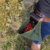 Saco de forrageamento ao ar livre direto da fábrica saco de colheita de frutas cintura pendurado saco de ferramentas saco de armazenamento da selva