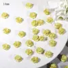 Decorações de Arte para Unhas de Rosa e Camélia Tridimensionais Esculpidas Suaves Acessórios Artesanais DIY Decoração de Unhas Flores de Resina Venda por Atacado