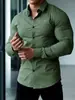 Camisas Casuais Masculinas da Amazon para Compras Internacionais, Sem Ferro, Esportivas, Fitness, de Negócios, Primavera e Outono, Camisas Masculinas de Manga Longa Antirrugas