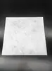 Papel Separador Cuadrado Libre de Polvo Antiestático para Obleas, Papel Aislante para Obleas de Silicio, Papel Antiestático para Obleas de Semiconductor