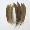 Venda Direta de Fábrica de Quase 100 Tipos de Acessórios Naturais de Penas Pequenas para Joias DIY, Acessórios de Cabeça, Broches, Chapéus, Materiais de Decoração para Artesanato