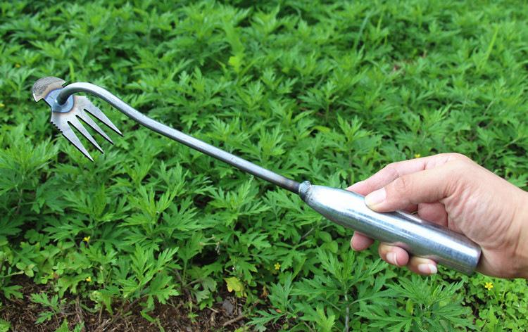 O1CN01W8v9tf1DYT8zJksZQ_!!2838