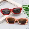 Novos Óculos de Sol Hip-Hop da Moda Estilosos Retrô com Templo de Corrente para Mulheres, Armação Gatinho, Emagrecedor, Proteção Solar, Óculos de Sol para Proteger do Sol para Homens
