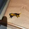 Pinza para el pelo de acetato de gato linda de chica coreana y japonesa Clip de pico de pato versátil para flequillo y pelo lateral Dibujos animados que reducen la edad Accesorio para el pelo