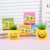 Boneca Cabeça de Grama Mini Planta de Escritório Grama em Vaso Pequeno Plantio Expressão de Grama Desktop DIY Ideia de Presente para Estudante