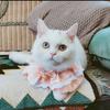 Toalla para Saliva de Perro Cubre Cuello, Bufanda para Gato, Babero para Gato, Babero para Mascota Teddy British Shorthair, Cubre Cuello de Algodón Lavado