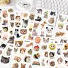 8 collage divertido de cabeza de gato lindo DIY tarjeta trasera para teléfono móvil caja de almacenamiento para cuaderno pegatinas decorativas lindas para computadora