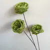 2026 Nuevo Modelo Plantas Verdes Artificiales Hierba de Espárrago Asparagus Asparaginea Decoración de Boda Flores Falsas Verdes Paisajismo Fotografía Plantas Verdes Estilo Bosque