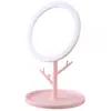 Novo Espelho de Maquiagem Estilo Princesa em Forma de Galho, Espelho de Beleza de Mesa com Borda Rosa Redonda, Pode Ser Pendurado, Espelho de Armazenamento de Joias, Item Popular da Internet