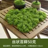Grama de Musgo Biónica Artificial Musgo Falso Micro Paisagismo Decoração Gramado Bonsai Plantado em Vaso Pavimentação Paisagismo