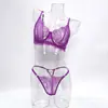 Novo Conjunto de Sutiã e Tanga de Renda Transparente Fina Estilo Europeu e Americano para Mulheres com Seios Grandes