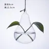 Variedad creativa de jarrón hidropónico de vidrio colgante botella colgante rosa verde cobre hierba del dinero maceta de plantas fábrica personalizado venta al por mayor