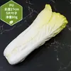 Adereços de vegetais de simulação modelo de vegetal de simulação folhas de alface falsas brócolis repolho adereços de supermercado frutas e vegetais crianças