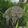 Placa Esculpida em Pedra de Parque ao Ar Livre Placa com Letras em Mármore Aviso Publicidade Livro Xuan Escultura Esboço Ornamentos