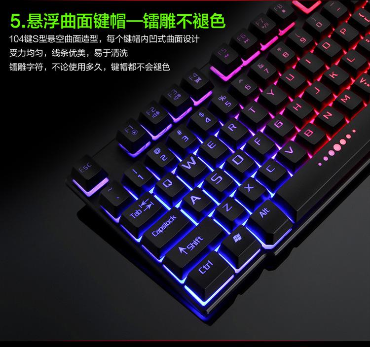 K9详情页_16.jpg