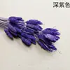 [Flores Secas Hierba Gema] Hierba Gema Flores Secas Arreglos Florales DIY con Flores y Hierba