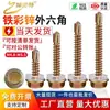 Tornillos Autorroscantes Hexagonales Externos de Color Zinc Tornillos Autorroscantes Tornillos Autorroscantes Cola de Golondrina Tornillos para Madera Clavos para Techo de Color Zinc M4.8M5.5