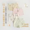 Ropa Interior Antibacteriana Infantil MN6076, Algodón Clase A, Sin Pellizcos, Calzoncillos tipo bóxer de Animales de Dibujos Animados, Venta al por Mayor