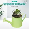 Nuevo Estilo Día del Maestro Creativo Regadera Decorativa Maceta Florero Botella de Flores Decoración Floral Obra de Arte Floral Plantación Verde Maceta de Hierro Balcón