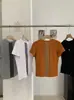 Camiseta Bordada de Manga Corta Kekezoon con Tres Rayas Verticales, Top Versátil de Cuello Redondo Ajustado al Cuerpo Venta al por Mayor 7873