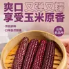 Milho Roxo Pegajoso de Polegar, Milho Roxo Dourado Pegajoso de Polegar, Milho Pequeno, Milho Pegajoso, Milho de Polegar de Xishuangbanna, Yunnan