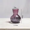 Vajilla de vidrio sodo-cálcico al por mayor transfronteriza, frascos de almacenamiento de vidrio grandes de nuevo estilo con diseño floreciente, decoraciones para sala de estar para plantas hidropónicas