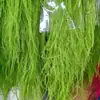 Hierba Barba de Dragón Flor Eterna Flor Seca Flor Real Decoración de Boda Hogar DIY Materiales Florales Ramo Pequeño Venta Directa de Celebridad de Internet Transfronteriza