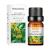 Vendas Diretas da Fábrica Óleo Essencial de Lavanda Solúvel em Água Transfronteiriço 10ml Aromaterapia Óleo Essencial de Lavanda Óleo Perfumado