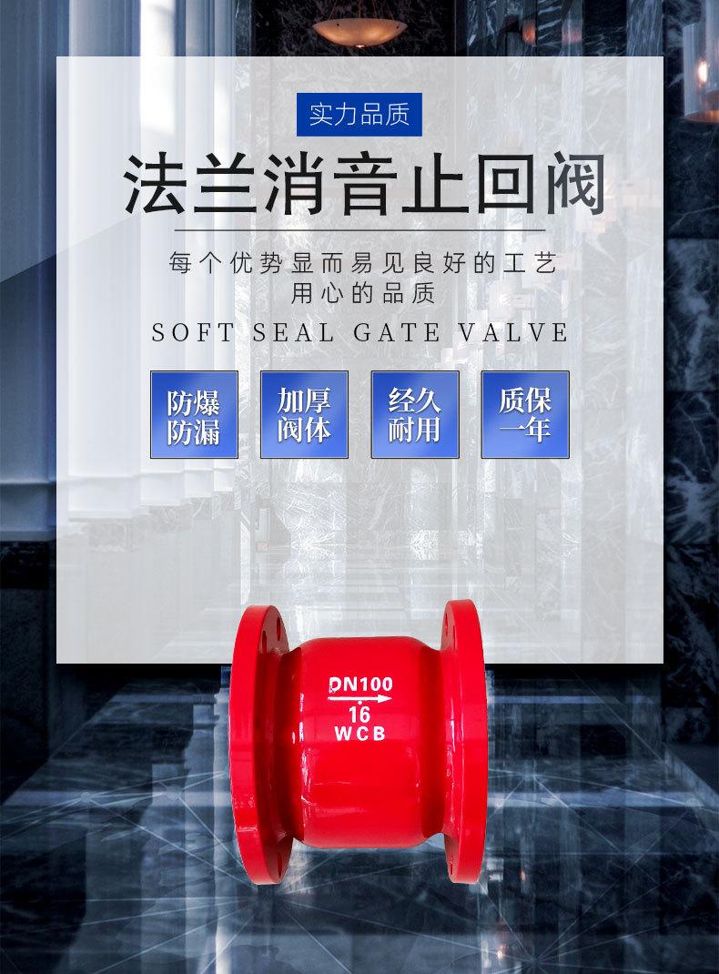 法兰消音止回阀_01.jpg