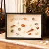 Moldura de Foto DIY Feita à Mão Moldura Estéreo Oca para Espécimes Coleção de Conchas Pedras Flores Secas Moldura de Foto para Exibição de Conservação