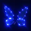 Alas decorativas para niños y adultos de nueva llegada transfronterizas con luces, accesorios para actuaciones de festival, alas de mariposa coloridas plegables