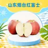 Entrega de Manzana Red Fuji Yantai Shandong 3/5/ 4.5kg Caja de Regalo de Manzana Roja Embalaje Colorido Fruta Grande Crujiente y Dulce Caja Entera Fruta Fresca