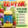 Spray Fungicida Huaye Kang para Buganvílias, Rosas, Orquídeas, Suculentas, Flores - Agente Universal Ativo para Cuidado de Flores