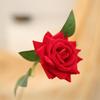Ramo Individual de Rosas Artificiales de Terciopelo para Ceremonia de Boda, Decoración de Hotel, Pared de Flores de Moda, Rincón para Fotos, Decoración del Hogar