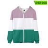 Suéter con cremallera tricolor de otoño e invierno nuevo transfronterizo, abrigo con capucha de moda coreana para mujer, suministro transfronterizo al por mayor